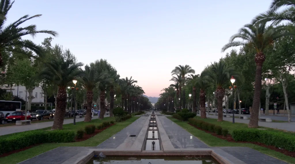 Allée de palmiers et bassins d'eau au centre d'une avenue marocaine.